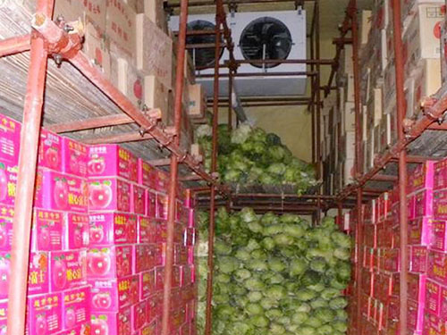沙步蔬菜批发市场-冷藏库安装工程